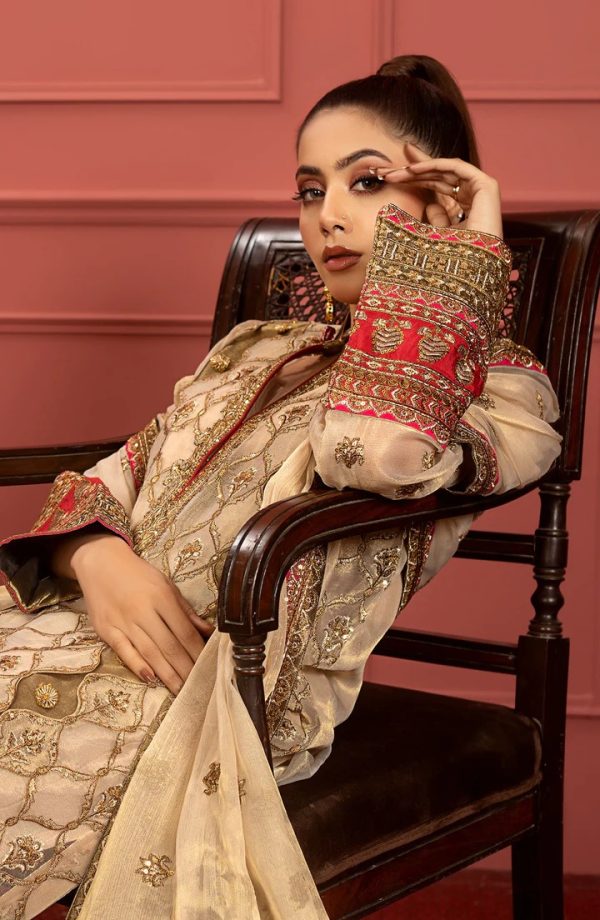 Formal Dress - Farnaaz (FFD-0102) - Image 4