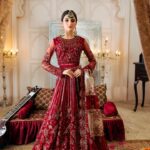 Zircon Collection Vol-10 | Zebtan | ANARKALI ZQ-09