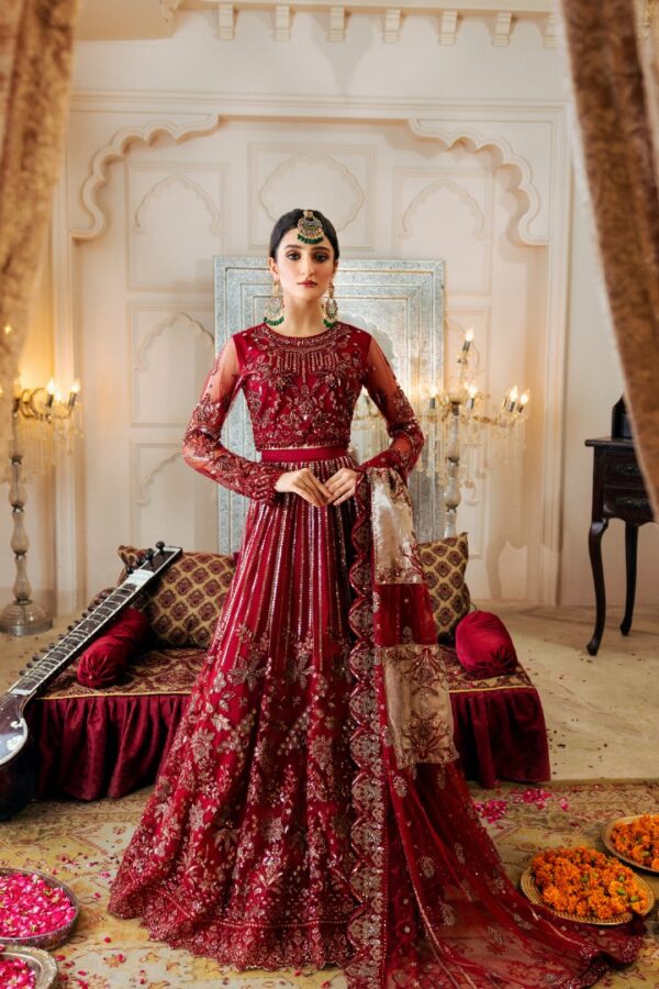 Zircon Collection Vol-10 | Zebtan | ANARKALI ZQ-09