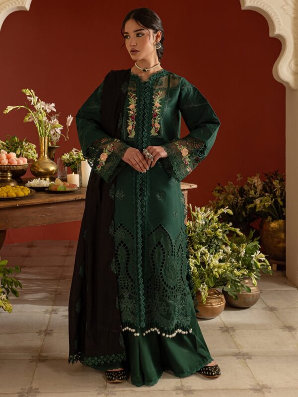 DSC-06 | 3 PC Lawn | Dastan-e-Noor Lawn