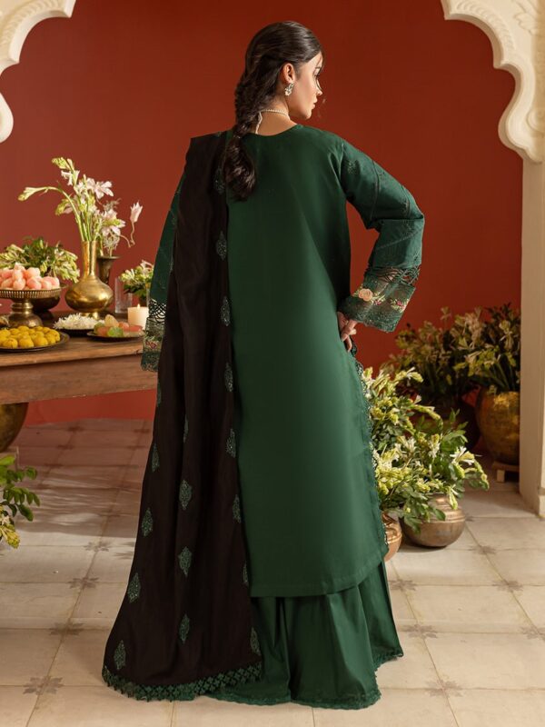 DSC-06 | 3 PC Lawn | Dastan-e-Noor Lawn - Image 3