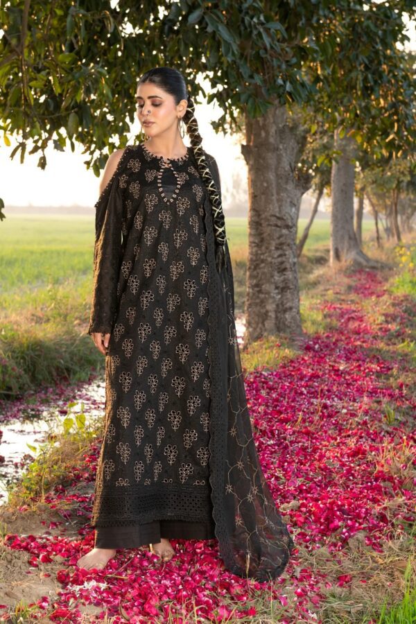 WL-63 - SAJAL Summer Collection Vol-01 | WANIA