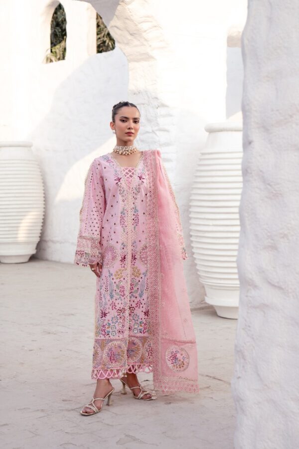 ZA-03 | Anaya Lawn | Zebtan