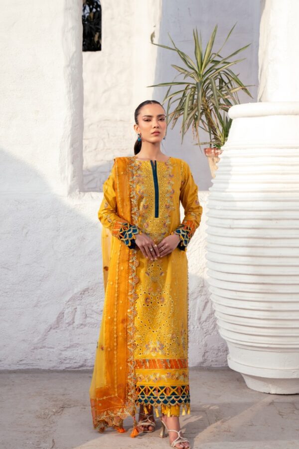 ZA-08 | Anaya Lawn | Zebtan