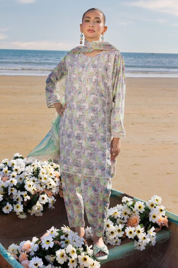 SCC-204 | Printed Chikankari | Muscari