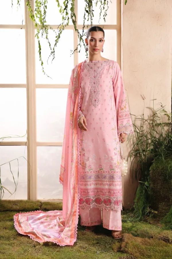 D-01 | Silah Silk Edit'25 | RAJBARI