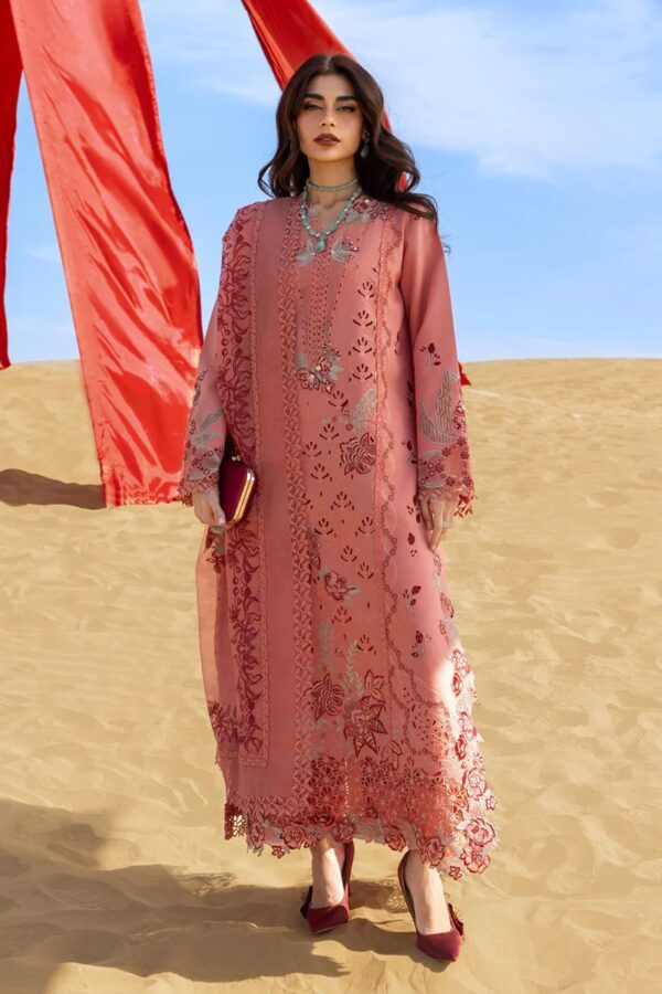 Amani | Premium Summer Collection'26 | Rang Rasiya