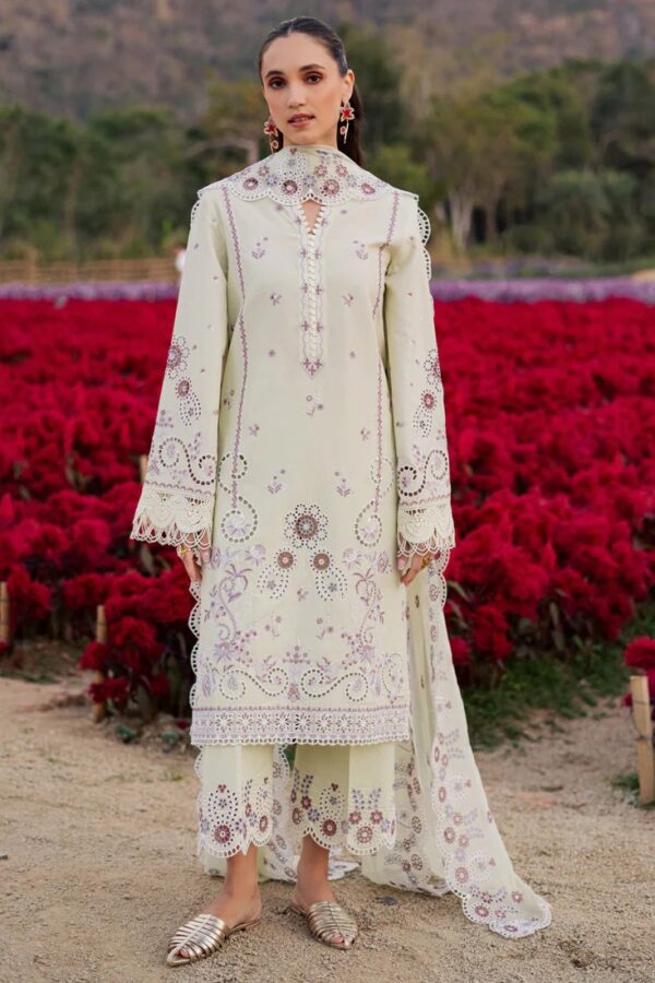 MBL-32 A | SILVIA Lawn'26 | Marjjan