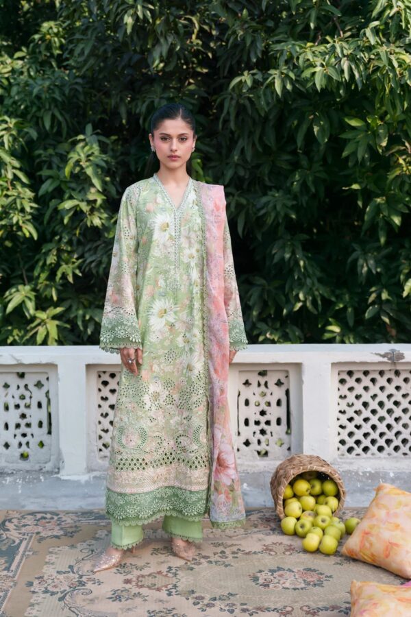 VERNA | Summer Lines Printkari'26 | Neeshay