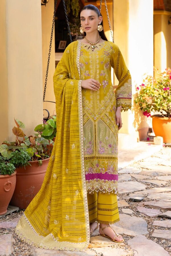 REB-22 | Rang-e-bahar'26 | Razab