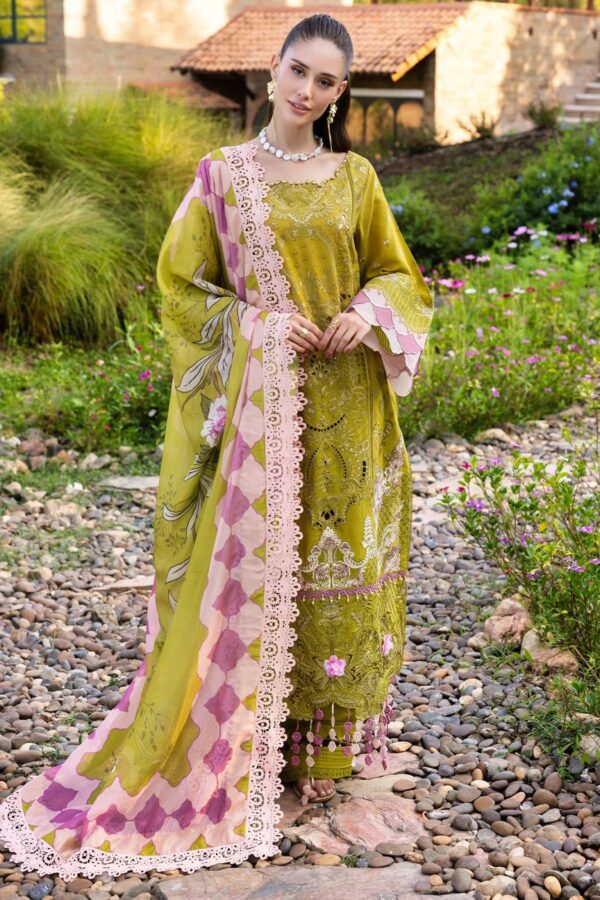 AGH-21 | Agosh Lawn'26 | Razab