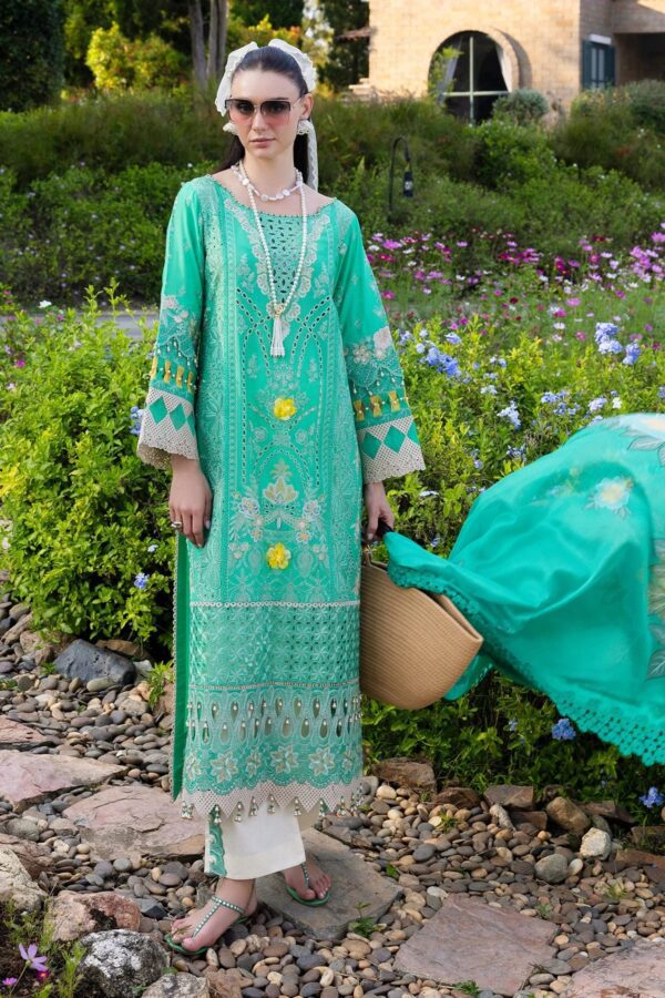 AGH-19 | Agosh Lawn'26 | Razab