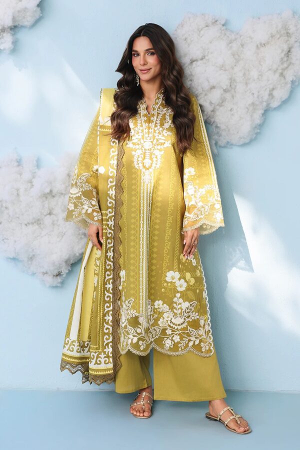 AN-2-17 | Anaya Summer V-2'26 | Mahnur