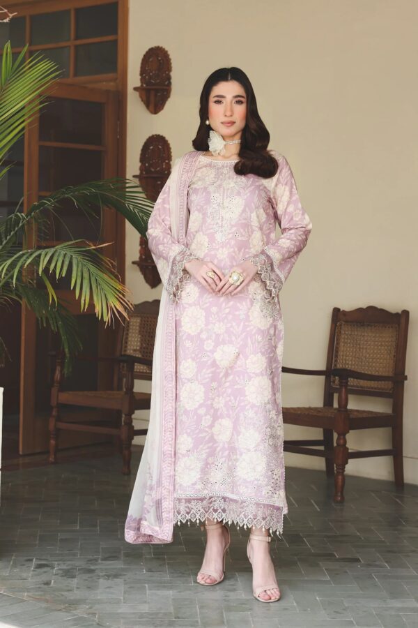 COSMOS | Zinnia Summer'26 | Raaya