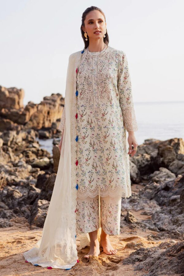 MPL-87 B | Sahil Printed'26 | Marjjan