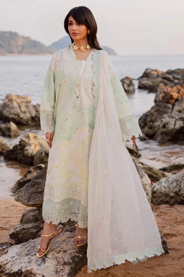 MPL-86 B | Sahil Printed'26 | Marjjan