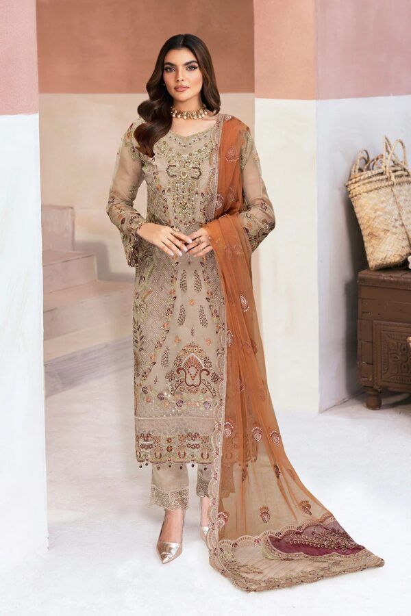 M-1305 | Minhal Organza V13 | Ramsha