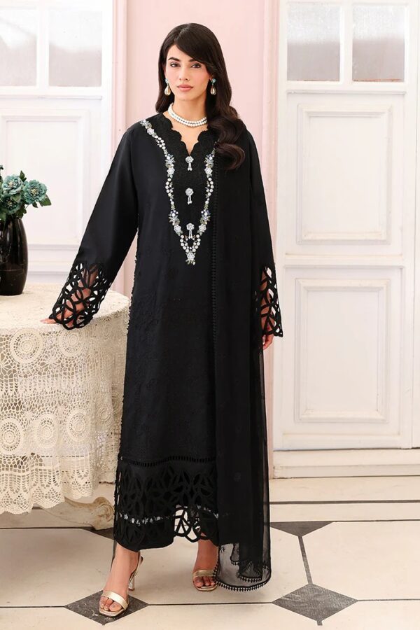 Black Lace | Veil Of Summer'26 | Roheenaz