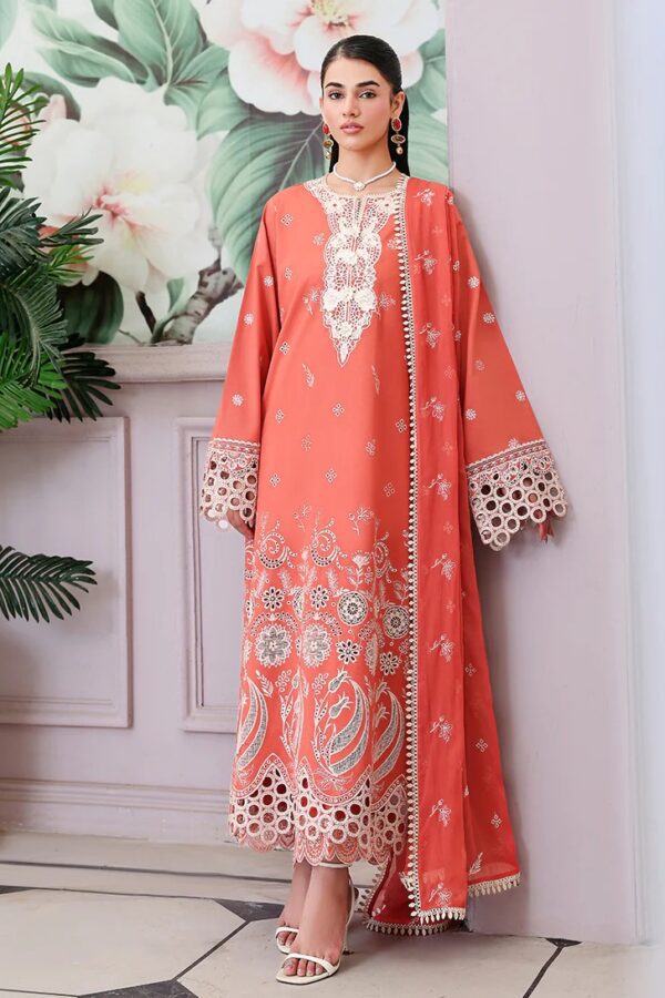 Soleil Blanc | Veil Of Summer'26 | Roheenaz