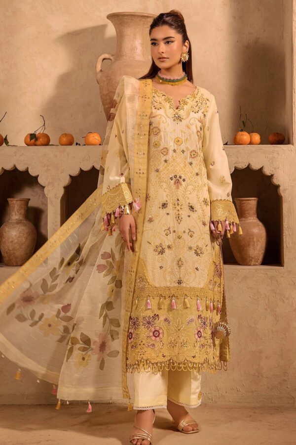 SW-4034 | Attire 26 | Razab