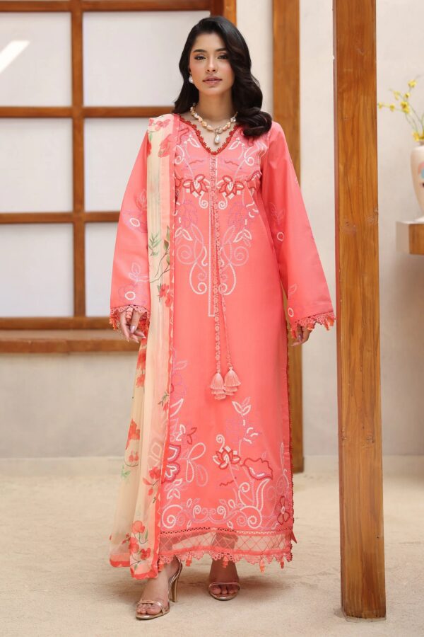 AVADNE | Rameen Lawn Vol 2'26 | Raaya