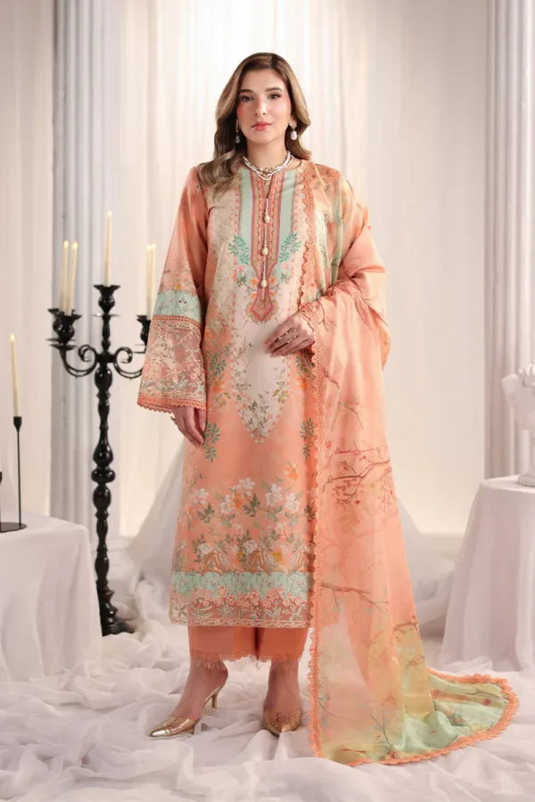 Cecilia | Nova Summer Edit '26 | Rang Rasiya