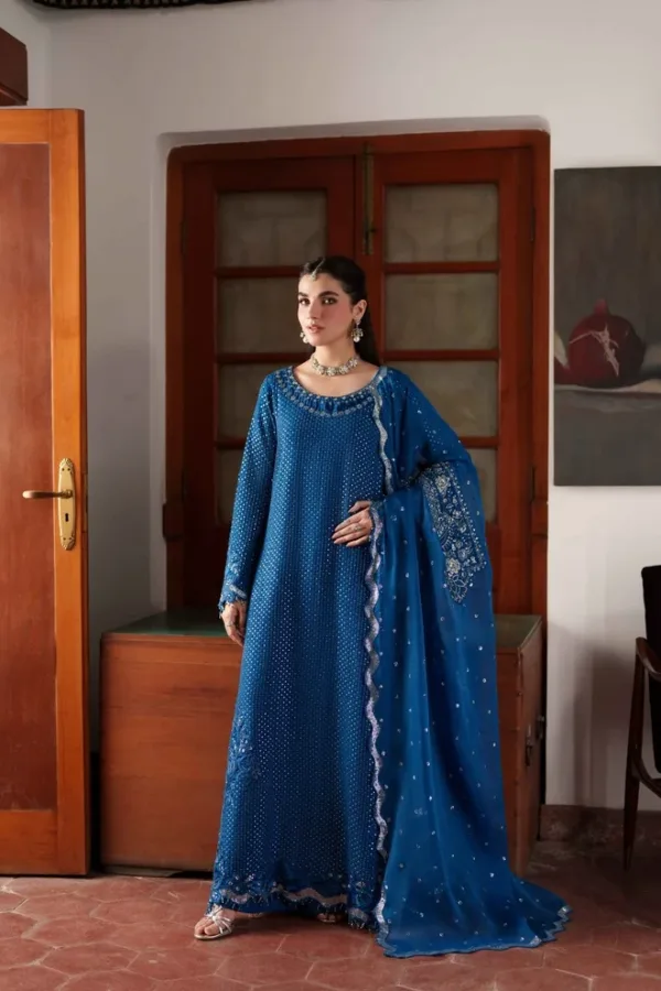 Mahjabeen | shagun-1 Fancy | Neeshay